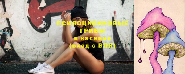 мет Аркадак